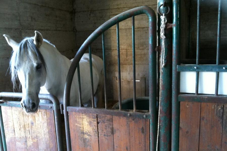 Agriturismo Amicizia Cassano delle Murge Dış mekan fotoğraf